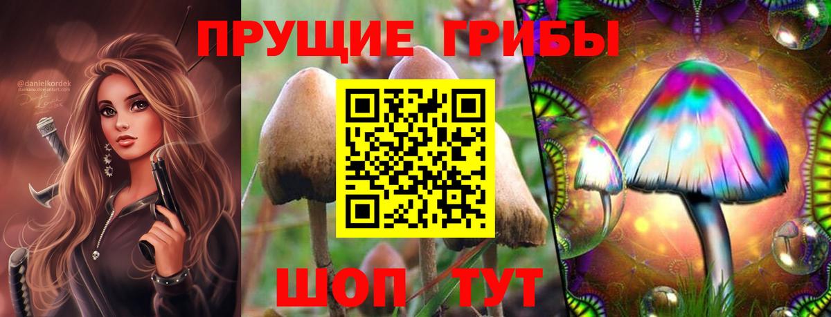 Галлюциногенные грибы прущие грибы Амурск